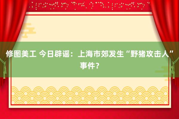 修图美工 今日辟谣：上海市郊发生“野猪攻击人”事件？